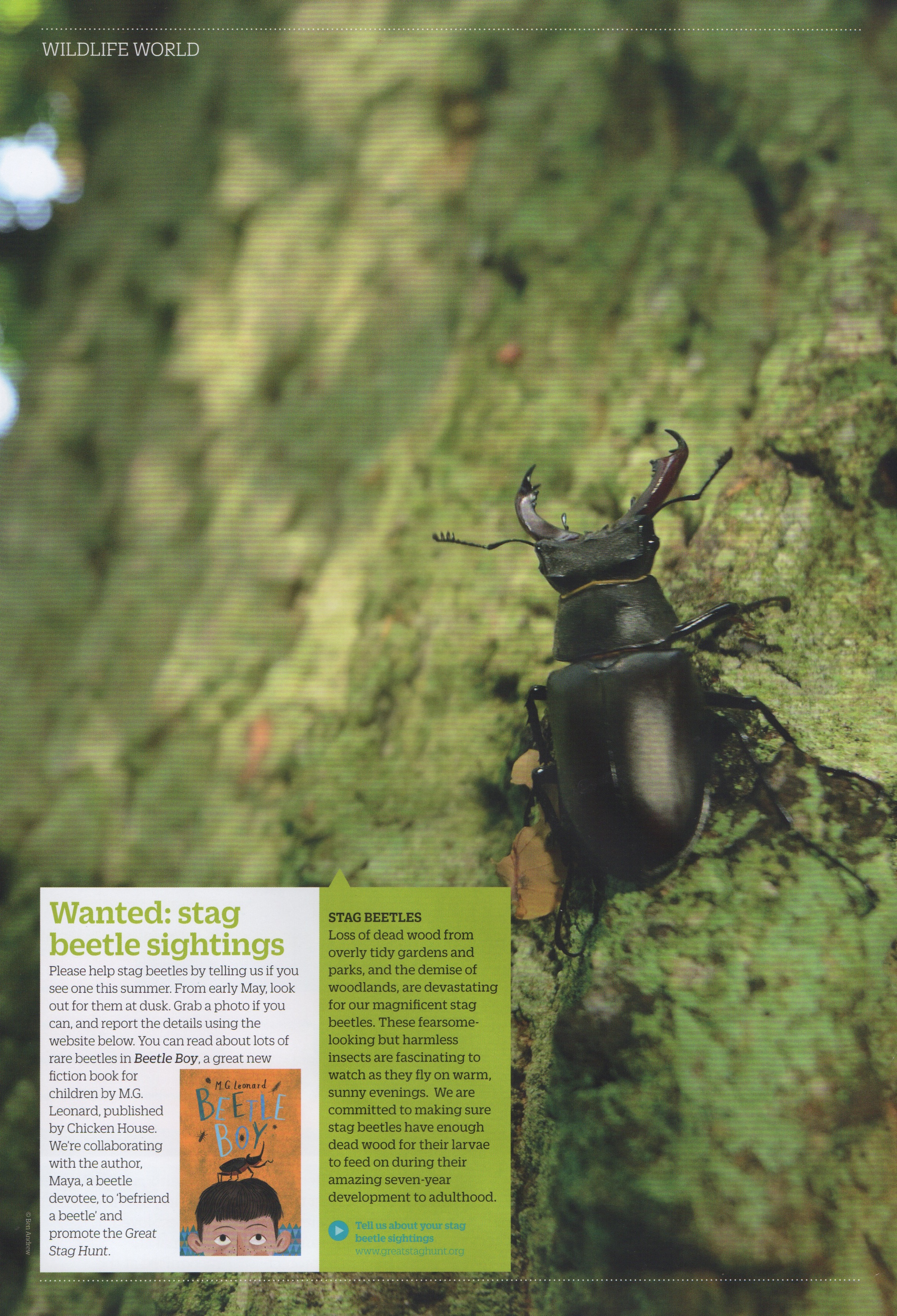 wildlifewatch.jpeg