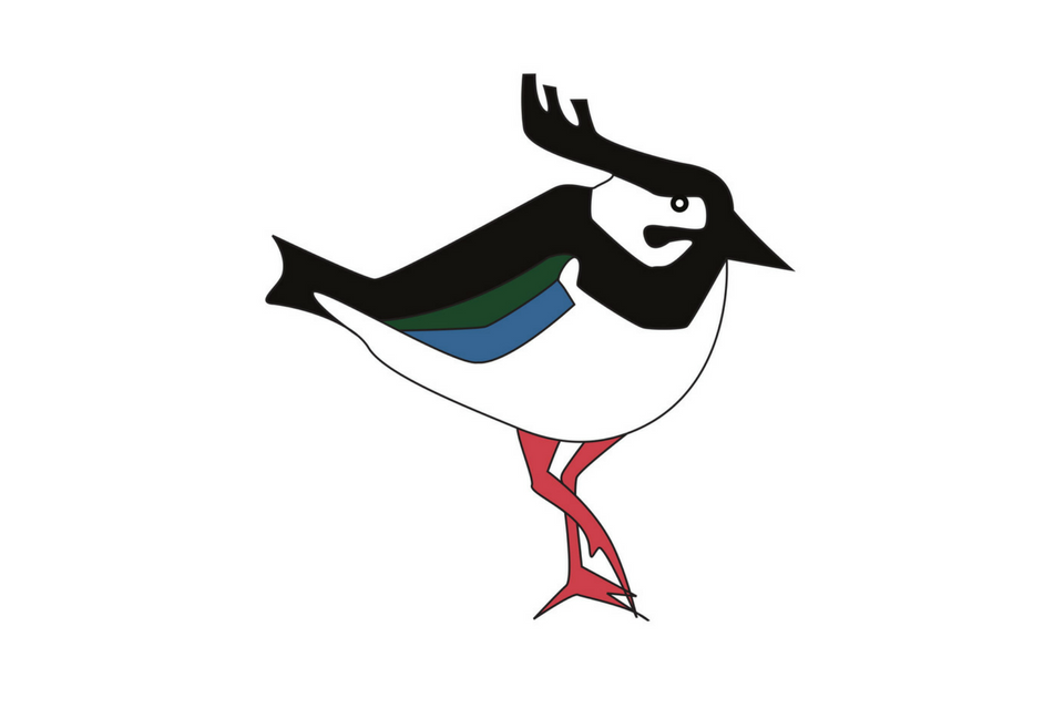 17.png