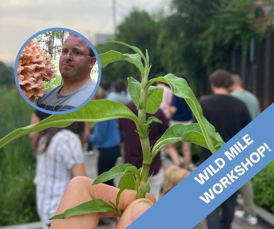WMWS: Culinary Foraging with Dave Odd