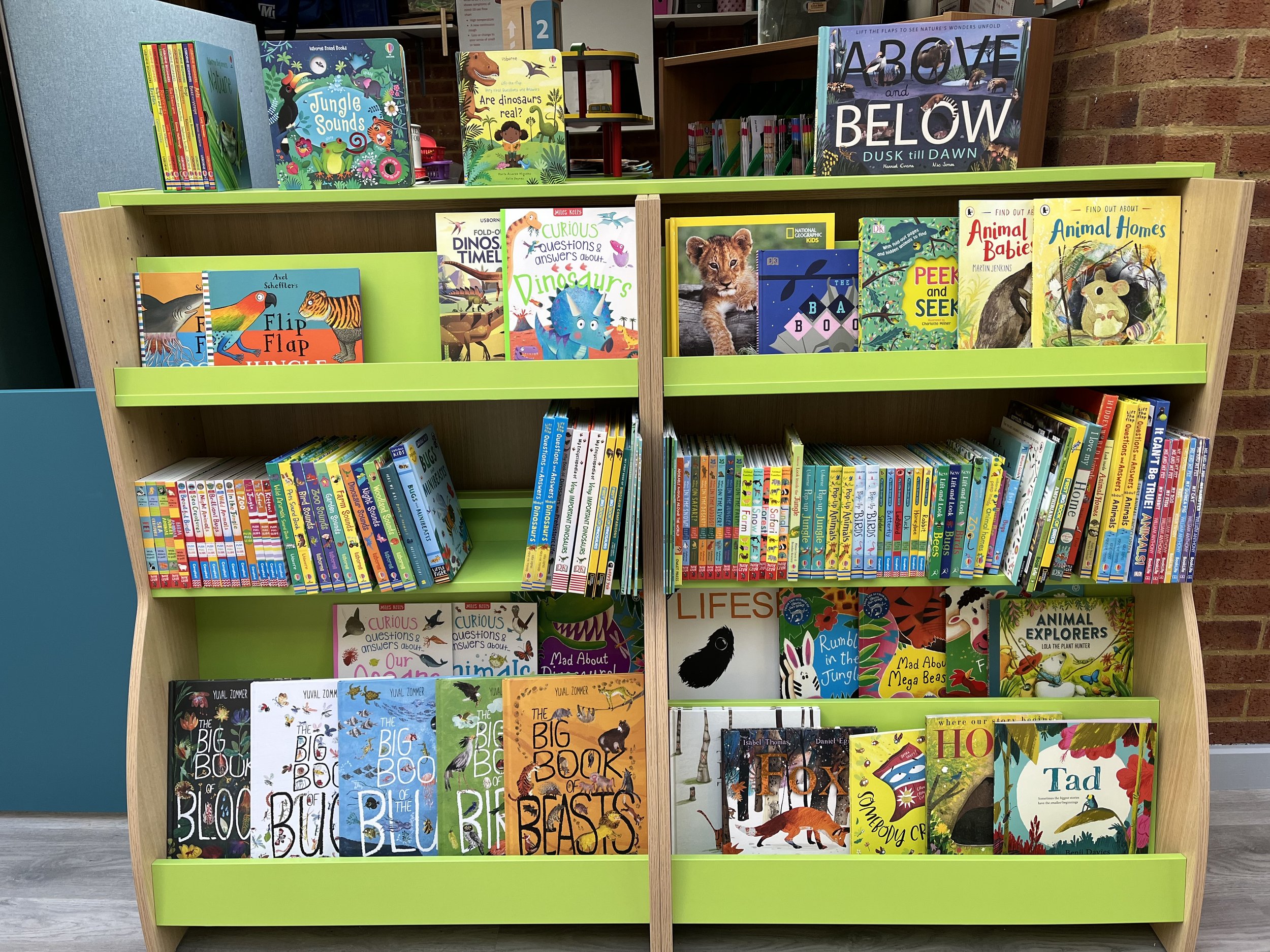 Children's books displayed on a green bookshelf, including titles featuring animals, nature, and educational themes.