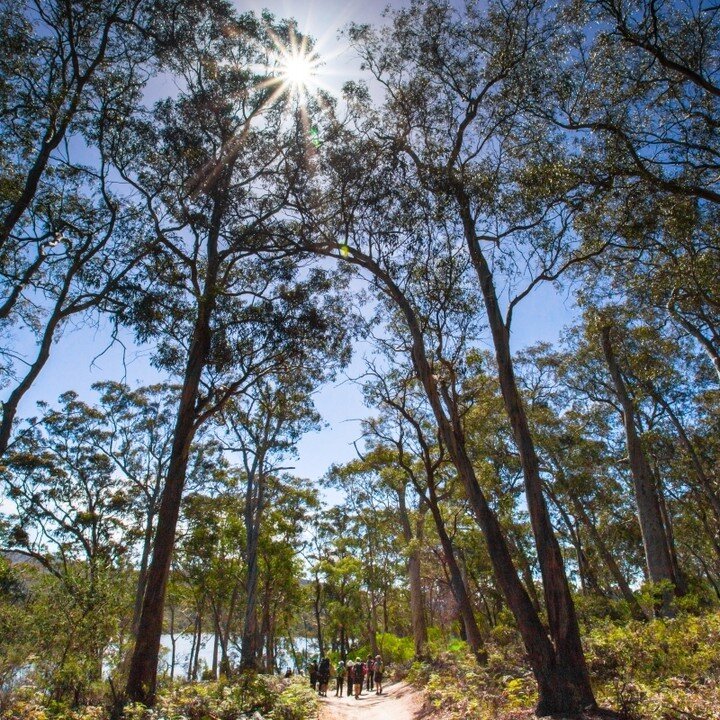 Nervous about hiking experiences or multi-day walking?⁠
⁠
You are not alone! ⁠
⁠
We understand that our guests come from all walks of life and have differing walking and outdoors experiences. ⁠
⁠
Having a lodge base to come home to can be a wonderful