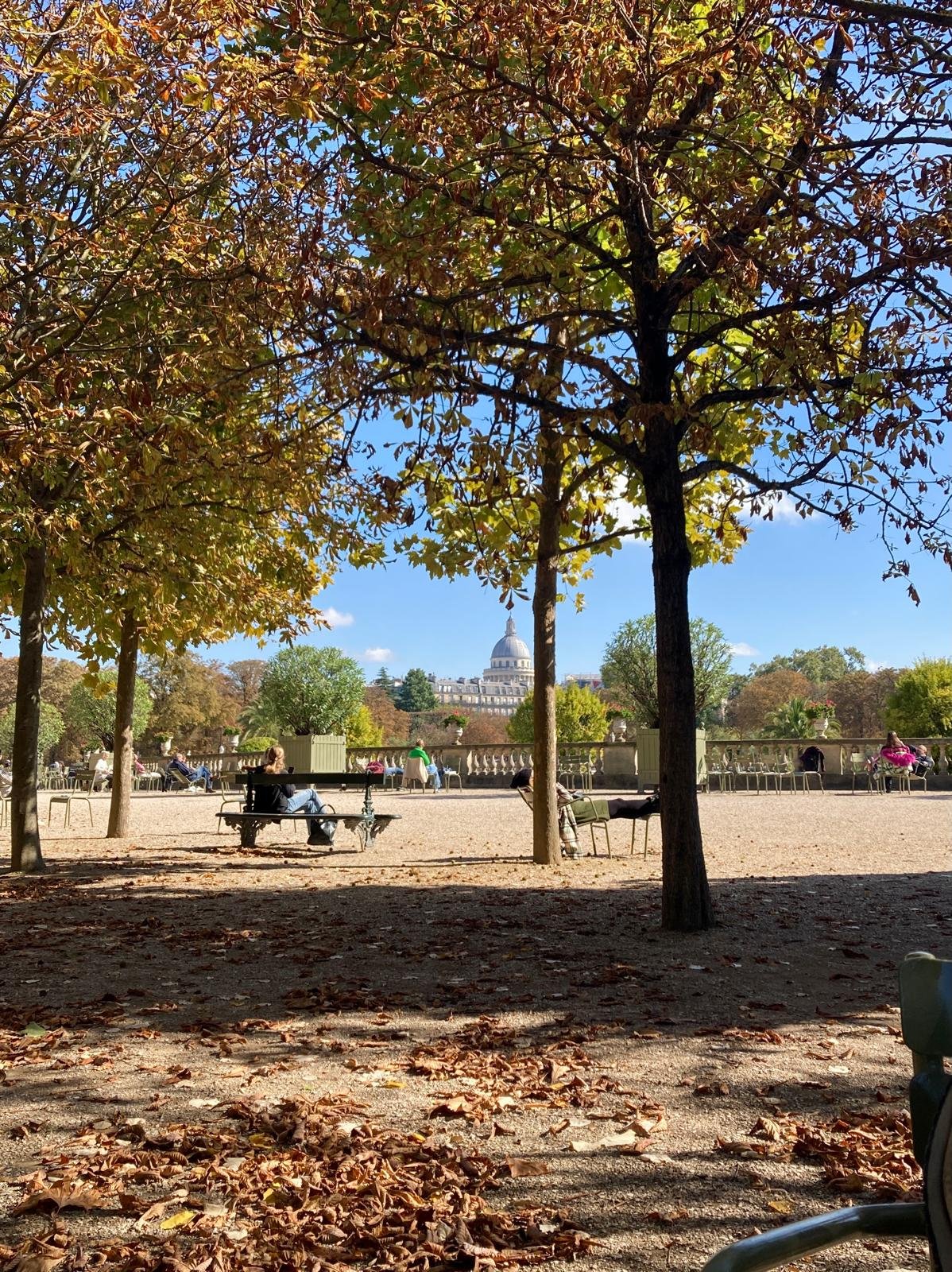 The Luxembourg Gardens,Paris, on an autumn day. By Luca Howes.