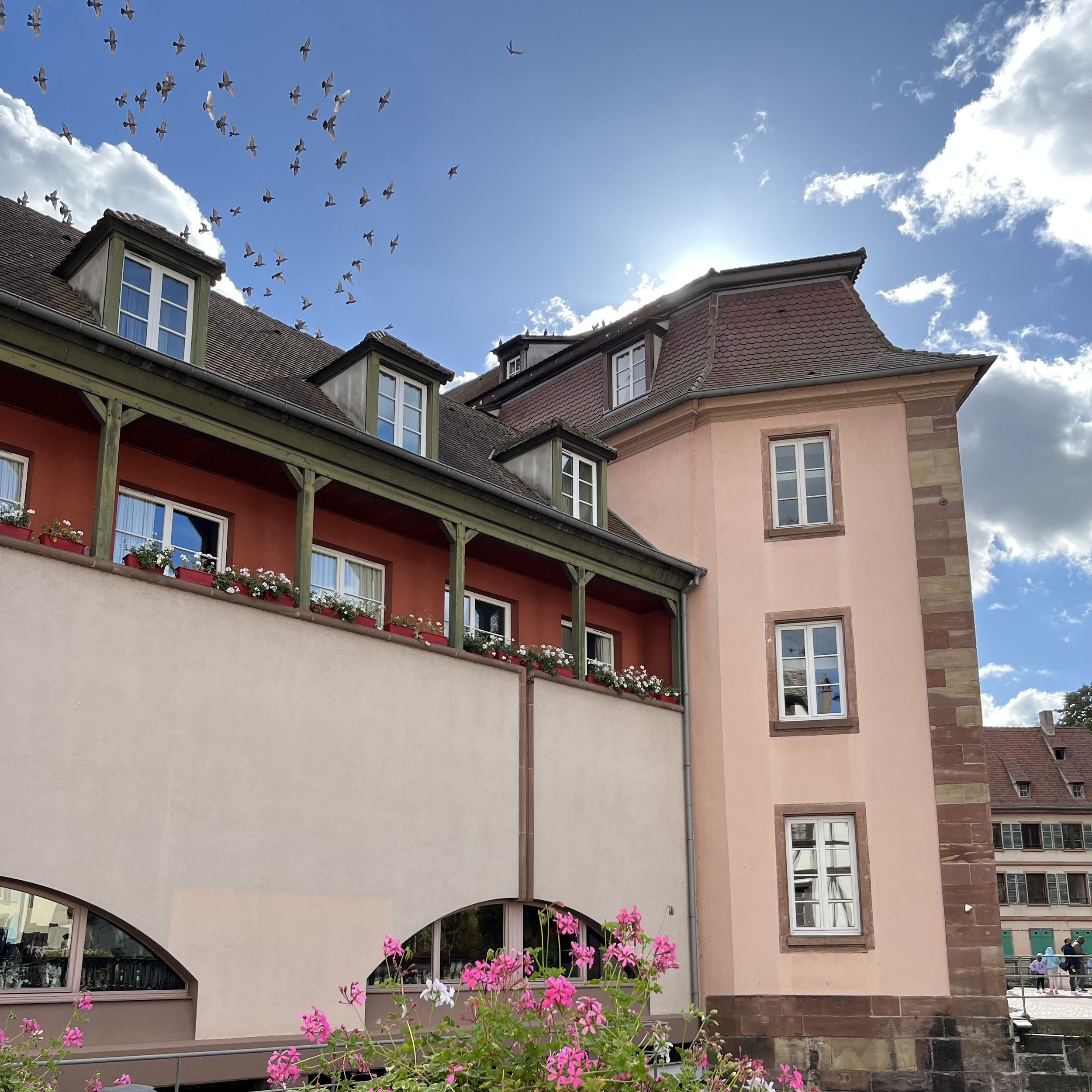 Petite-France, Strasbourg. By Anna Bates.