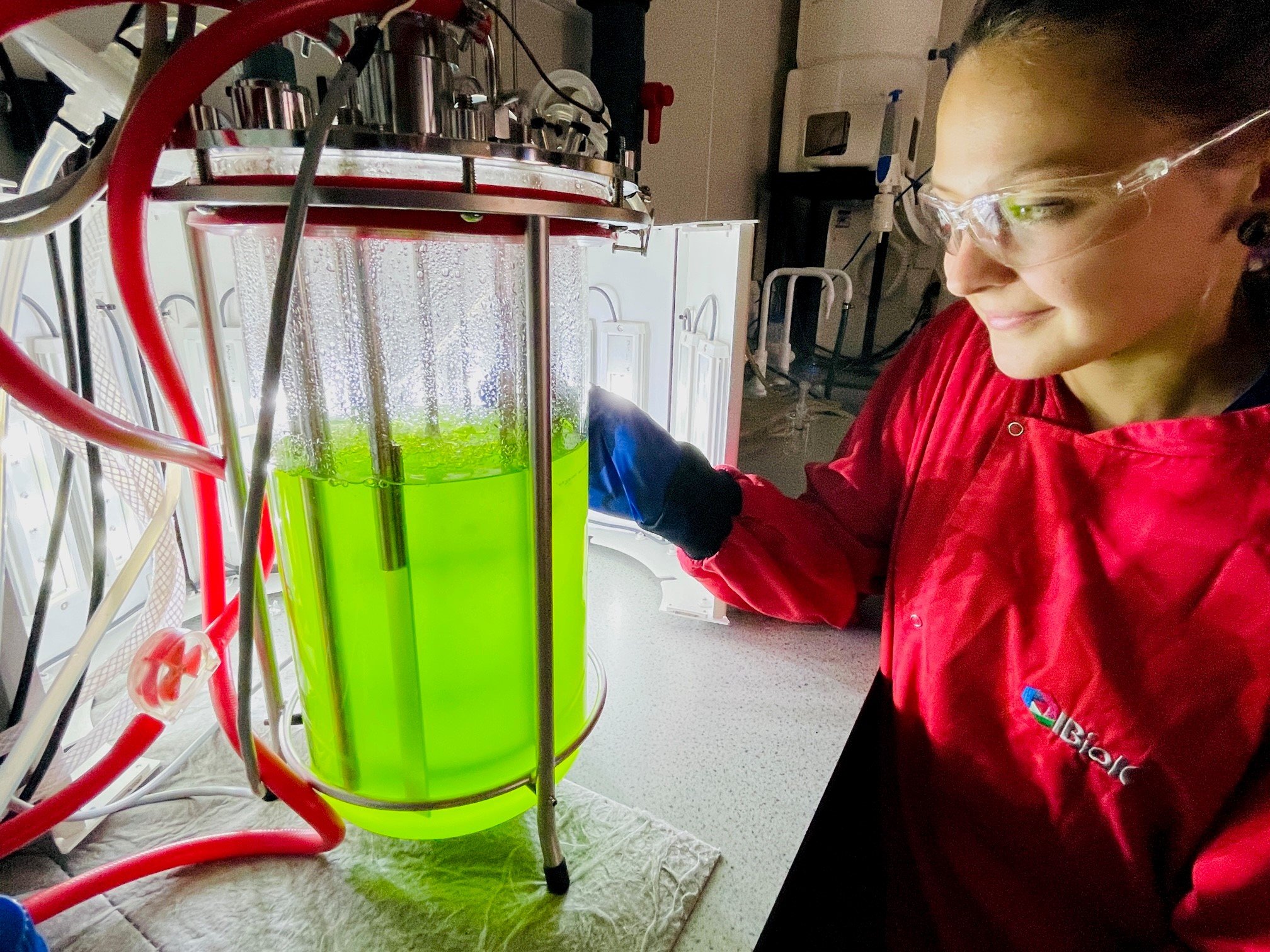 chlorella_photo algae_2.jpg