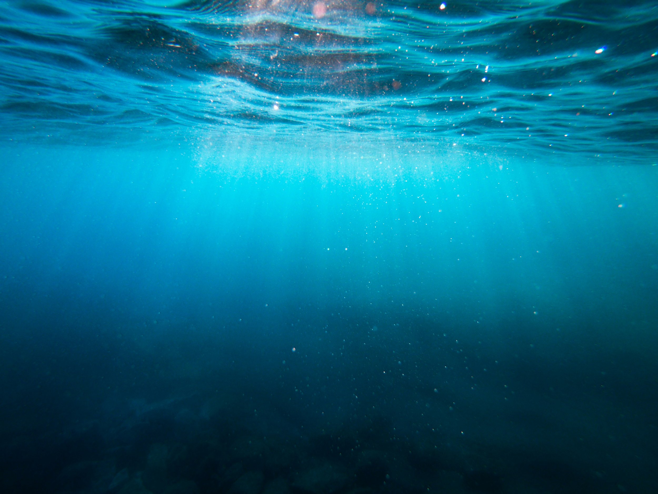 A global ocean free from the harmful impacts of pollution