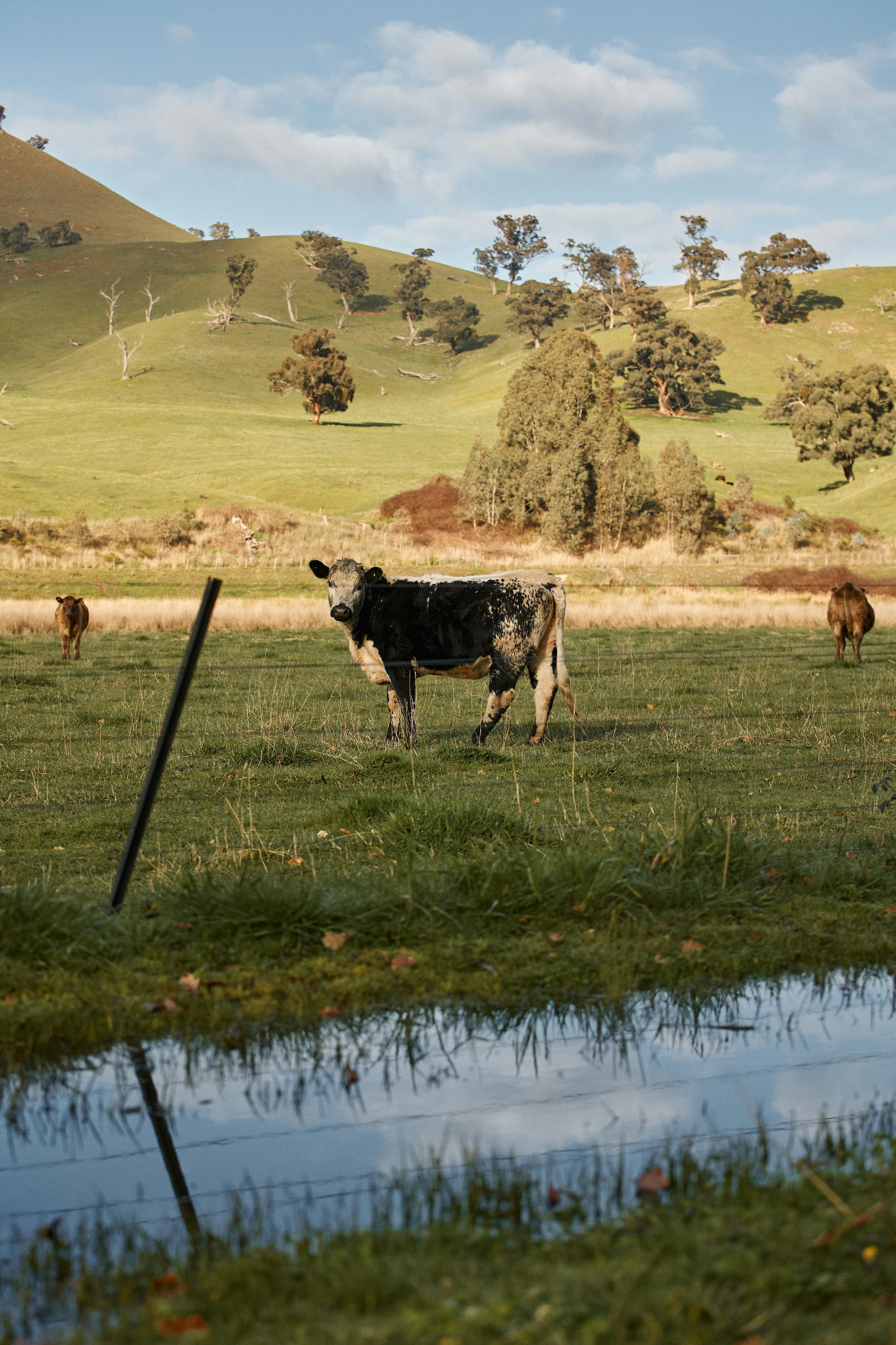 Natural capital liquidity: The co-benefits of landscape hydration