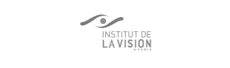 logo8.png