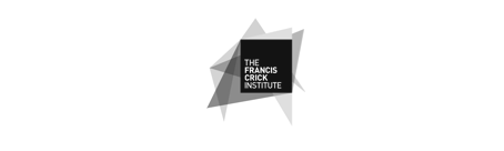 logo10.png