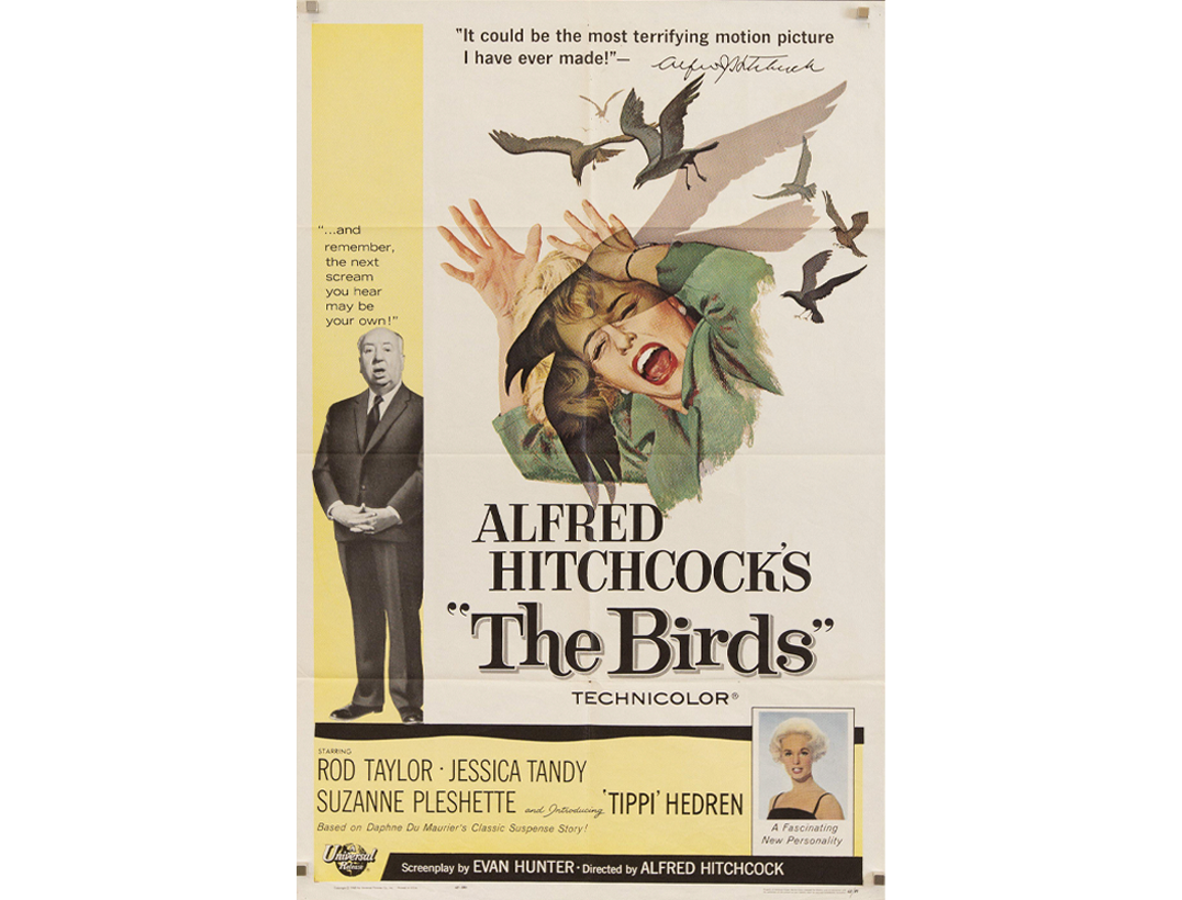 The-bird.png